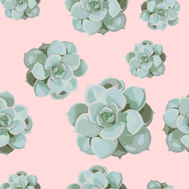 图案排列自肉苁蓉图片下载