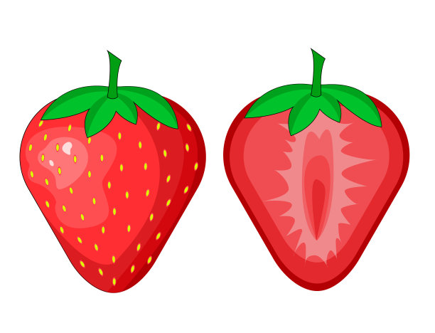 红色浆果、草莓和半草莓孤立在白色背景上。插图在平面风格光栅版本。图片下载