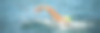 铁人三项女子自由泳在海洋中爬行图片下载