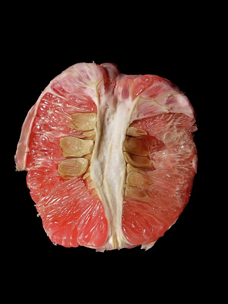 柚子果图片下载