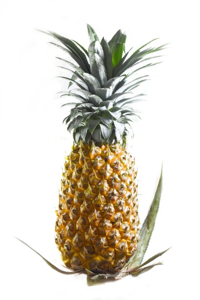 在白色背景上分离的菠萝。图片下载