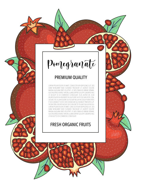 矢量背景与石榴，整体和块。矢量股票插图孤立在白色背景。卡片设计与水果。产品信息和文字。图片下载