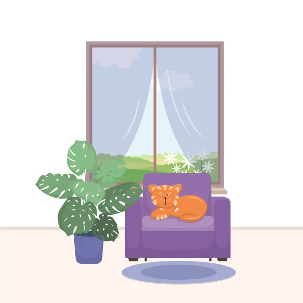 室内猫在扶手椅窗户和图片下载