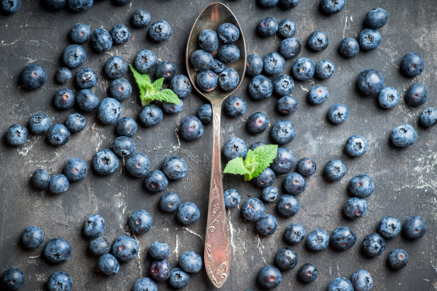 勺子上放着新鲜收获的蓝莓图片下载