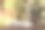 桌上有花瓶，花瓶上插着野花，还有书和玻璃杯图片下载