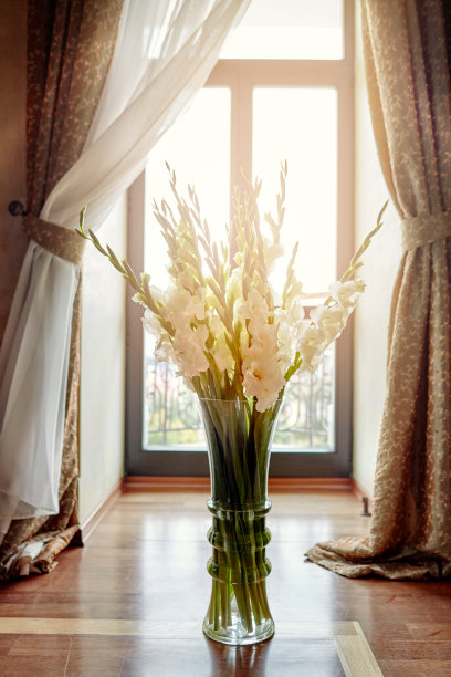 地板上放着一束巨大的节日花束，背景是一扇大窗户图片下载