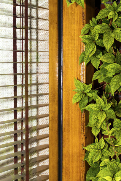 靠近窗户的叶子图片下载