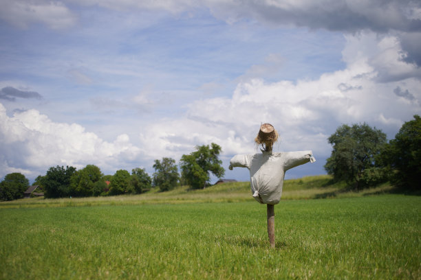 稻草人在阴天的田野里装满了稻草图片下载