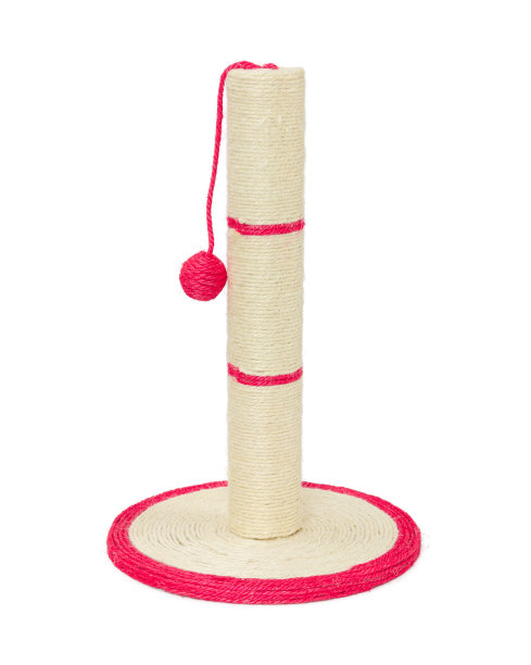 猫抓柱孤立在白色背景图片下载