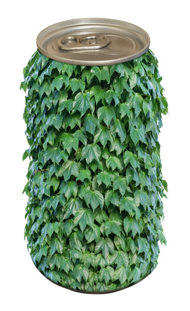 一种能和攀缘植物结合在树干上的植物。孤立在白色背景上。图片下载