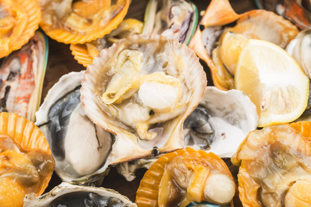 什锦鲜贝类-青贻贝，牡蛎，扇贝图片下载