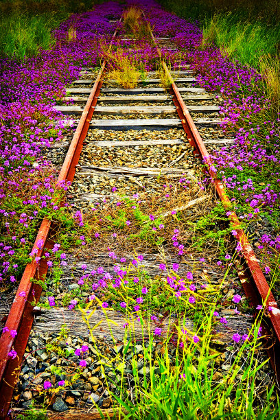 废弃的旧铁轨图片下载