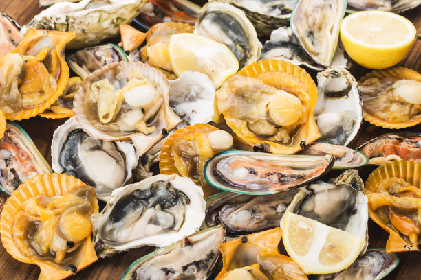 什锦鲜贝类-青贻贝，牡蛎，扇贝图片下载