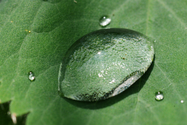 宏观中的水滴图片下载