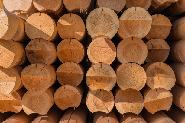用于建造木质房屋的圆木图案堆。用机器从木头上除去树皮。的日志模式。木工工厂。木材工业图片下载