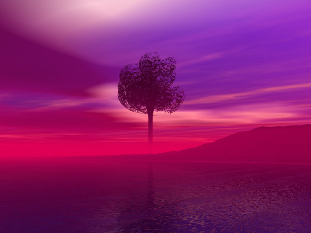 美丽的海洋和树木景观图片下载