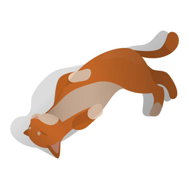 等距躺在猫图片下载