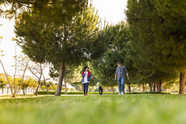 由于covid-19冠状病毒大流行，一对戴着防护口罩的年轻夫妇带着狗在户外单独散步图片下载