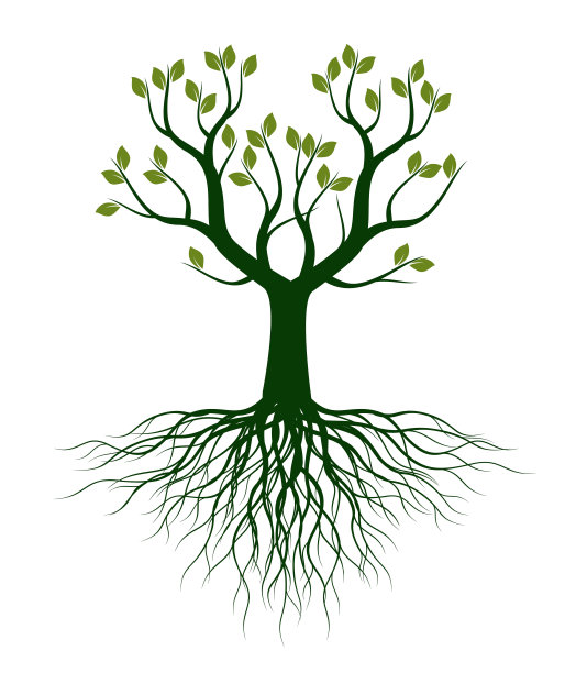 绿色的春天树与根。矢量插图轮廓。植物在花园。图片下载