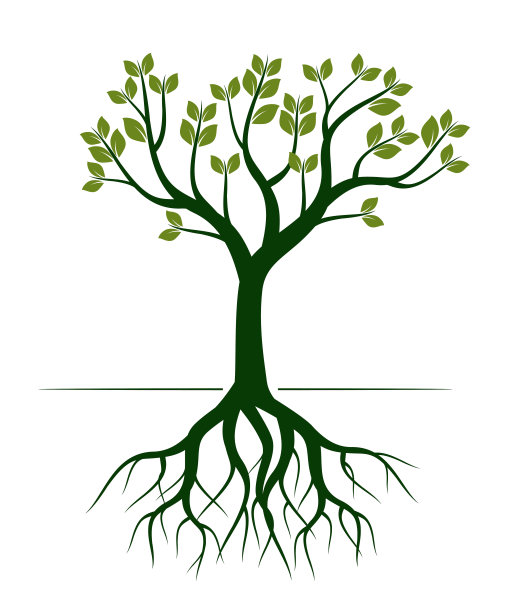 绿色的春天树与根。矢量插图轮廓。植物在花园。图片下载
