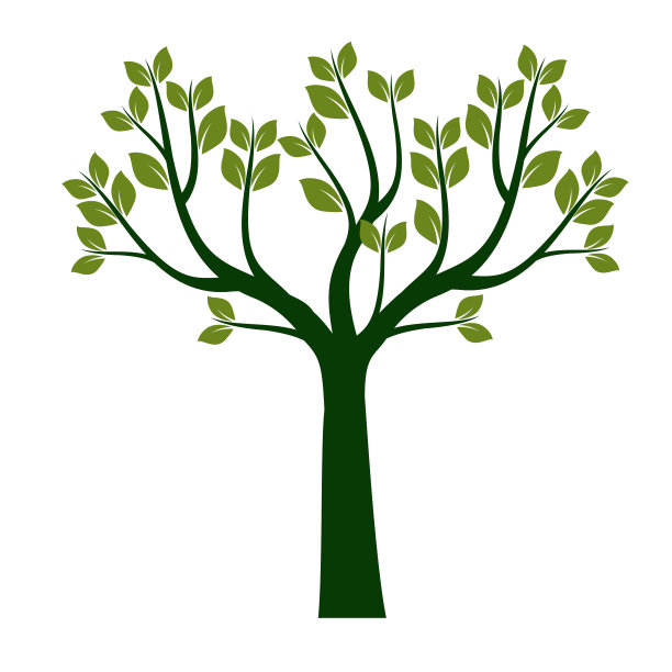 春天的树与绿色的叶子。矢量插图轮廓。植物在花园。图片下载