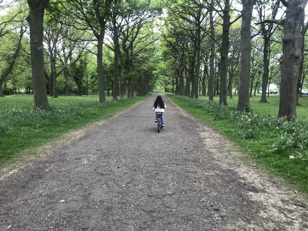 Covid - 19封锁期间的森林浴图片下载