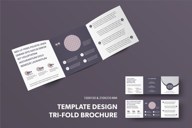 开方形三层模板与圆圈为照片，与线，描述，业务小册子孤立的背景。图片下载