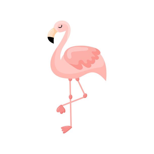 粉红色火烈鸟矢量插图孤立在白色的背景。矢量图图片下载