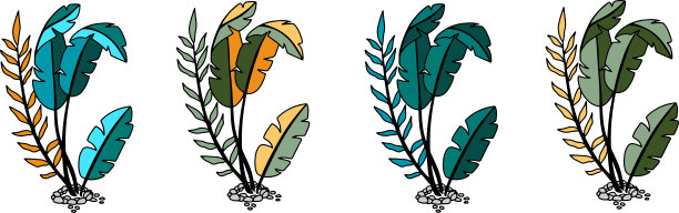 有热带植物的灌木图片下载