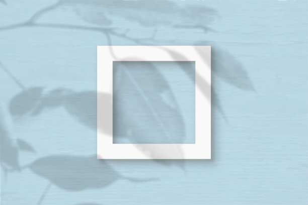 蓝色墙壁背景上的方形白色纹理纸。模型与植物阴影覆盖。自然光在外来植物的叶子上投下阴影。平躺，俯视图图片下载