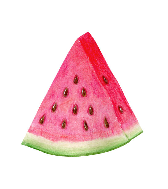 三角形的新鲜西瓜孤立在白色背景上。水彩手绘插图在现实主义风格。概念你好夏天，甜品，美味甜水果，剪纸，装饰。图片下载