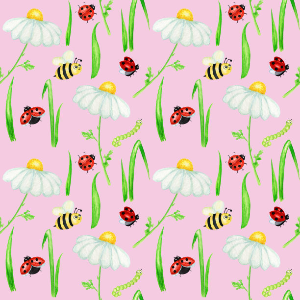 水彩雏菊洋甘菊花无缝图案与蝇瓢虫，蜜蜂插图。手绘草本植物在粉红色的背景。白色的花，芽，茎，草。野生植物园开花图片下载