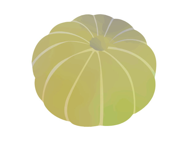 南瓜的水彩画。图片下载