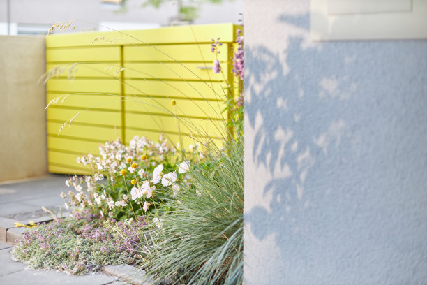 现代城市花园的各种照片，详细的花和花园家具的图片图片下载