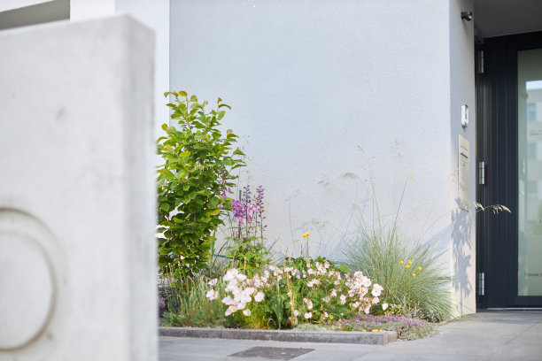 现代城市花园的各种照片，详细的花和花园家具的图片图片下载