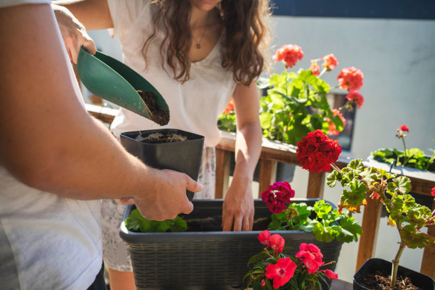 种植时间图片下载