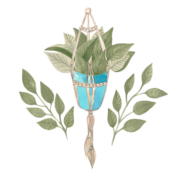 波西米亚风格的室内植物，柳条编织的篮子。水彩手绘舒适的房子设计家庭花装饰室内在斯堪的纳维亚风格。图片下载