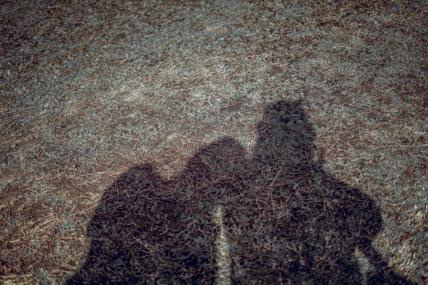 年轻男女的剪影情侣的照片图片下载