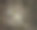 春天的阳光和雨水在花园里的枝上的蓝山雀图片图片下载