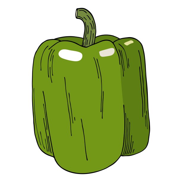 鲜青椒插图。手绘矢量蔬菜孤立在白色背景。生辣椒。美味的配料，浇头，配菜。素食绘画。图片下载