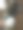 和狗玩拔河游戏图片下载