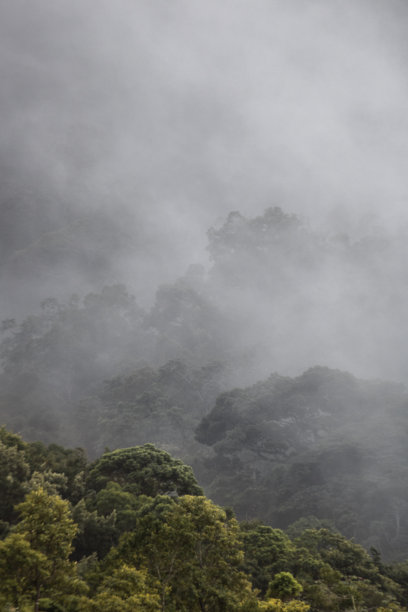 多雾的图片下载