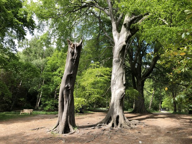 破碎的巨人图片下载