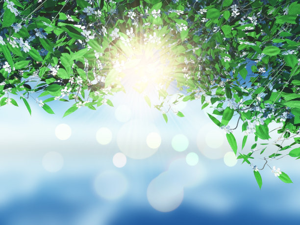 3D树和树叶对着阳光灿烂的天空图片下载