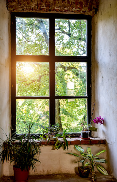 花盆在旧窗户上图片下载