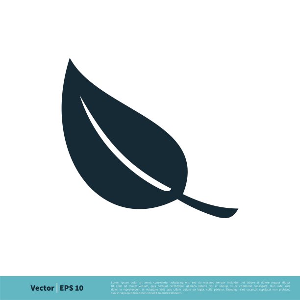 叶子图标矢量标志模板插图设计。向量EPS 10。素材图片