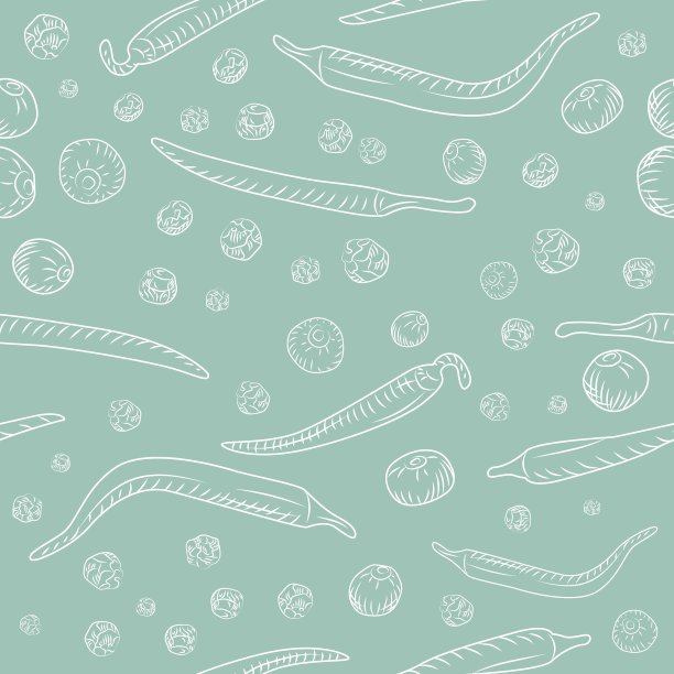 辣椒和黑胡椒无缝图案。雕刻复古风格。图片下载