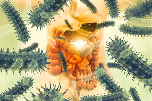 细菌或病毒围绕着人类的消化系统图片下载