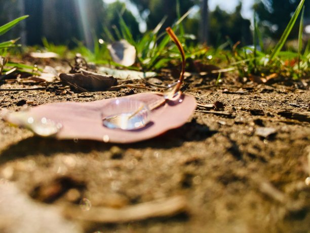 要是我有一根吸管就好了图片下载