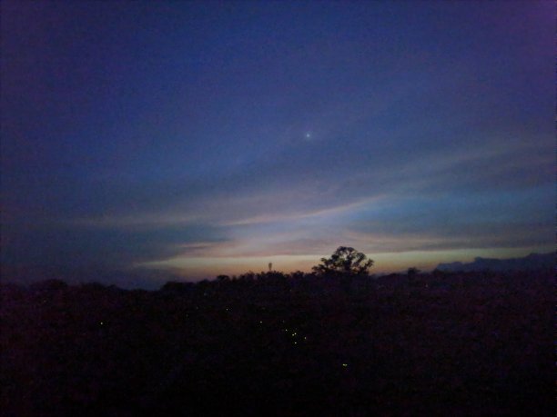 晚上看图片下载